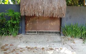 Casa das Arvores